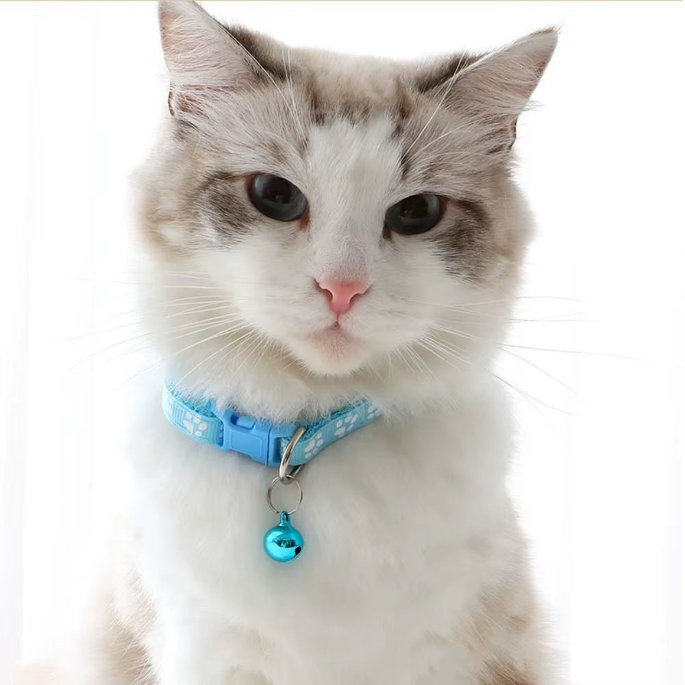 Cute Polyester Cat Harness and Leash Set with Bell Paw Pattern Pet Walking Vest Detachable Colorful Dog Harness Belt Rabbit